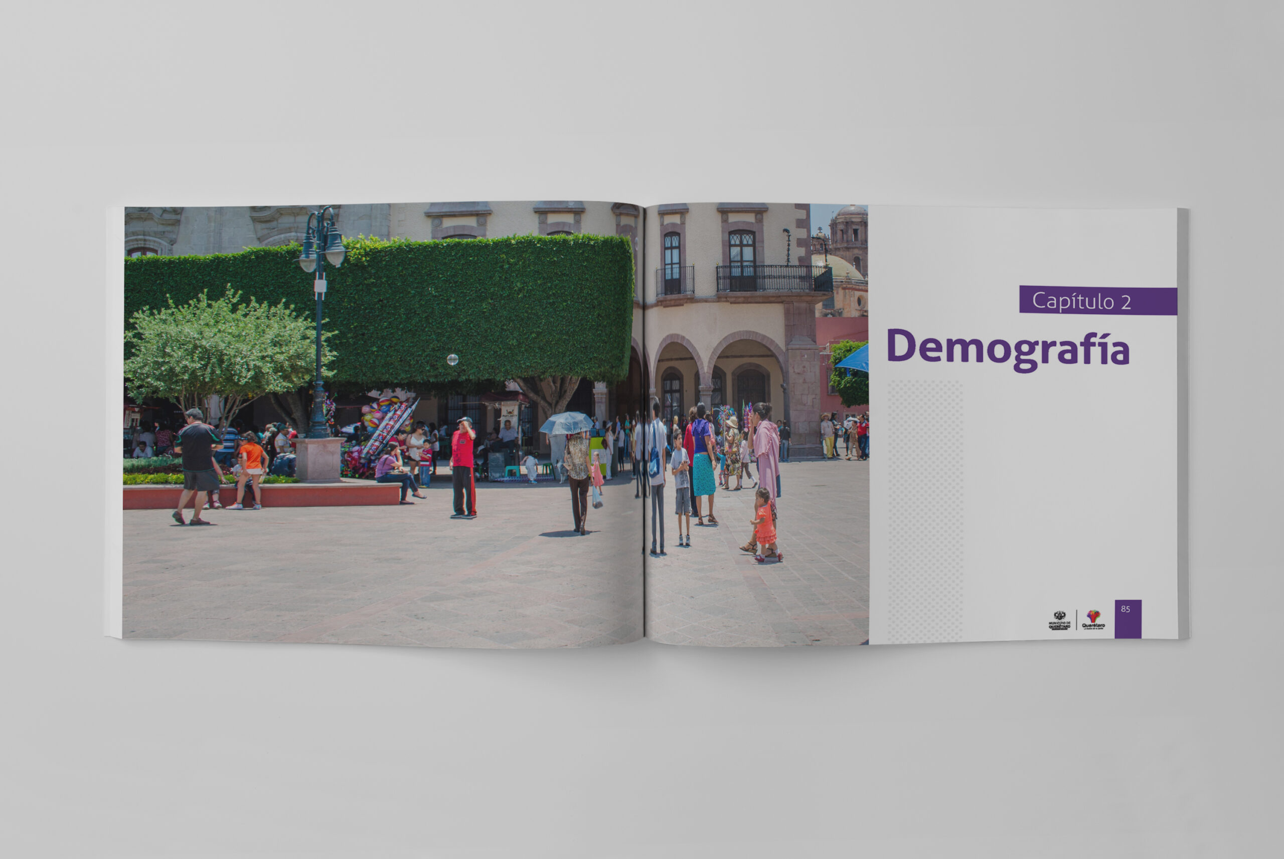 anuario económico municipal Querétaro demografía