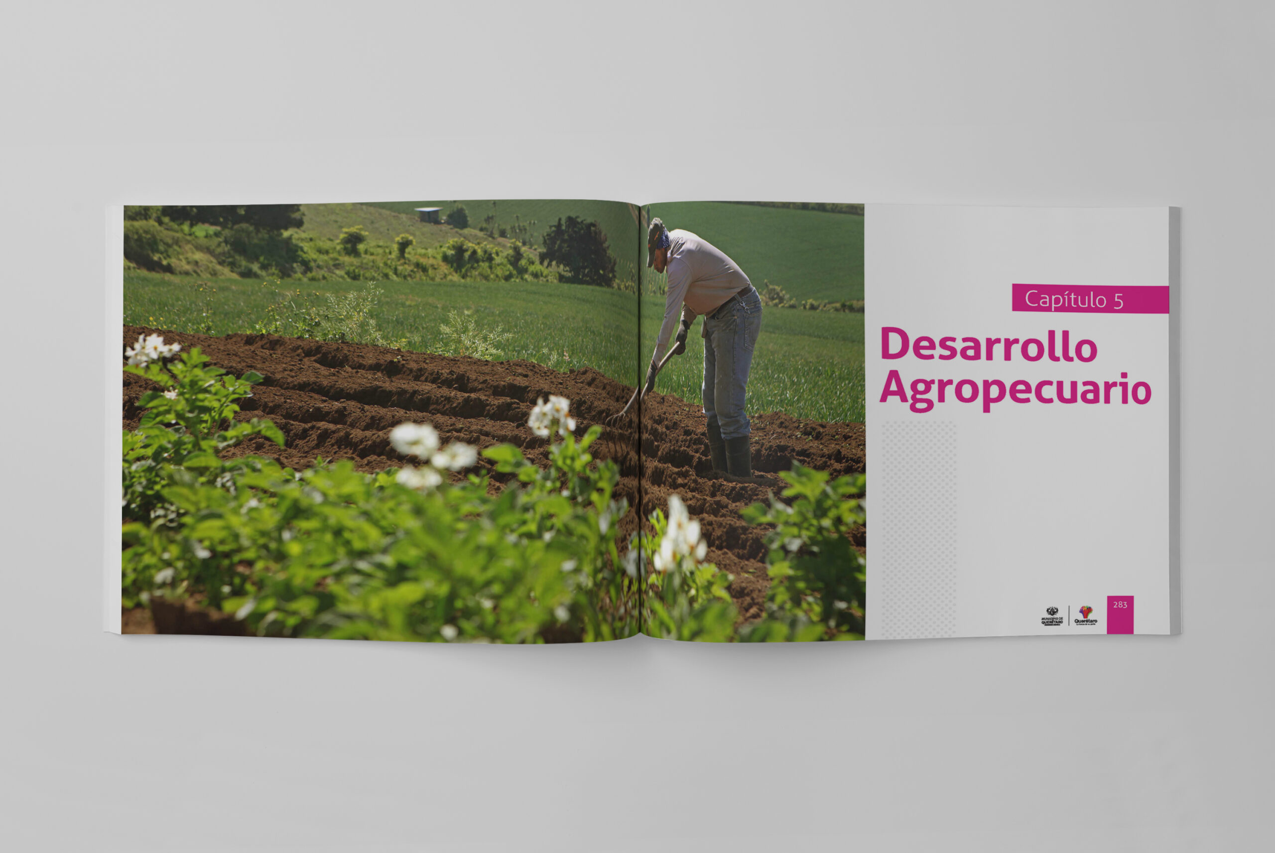 Desarrollo Agropecuario