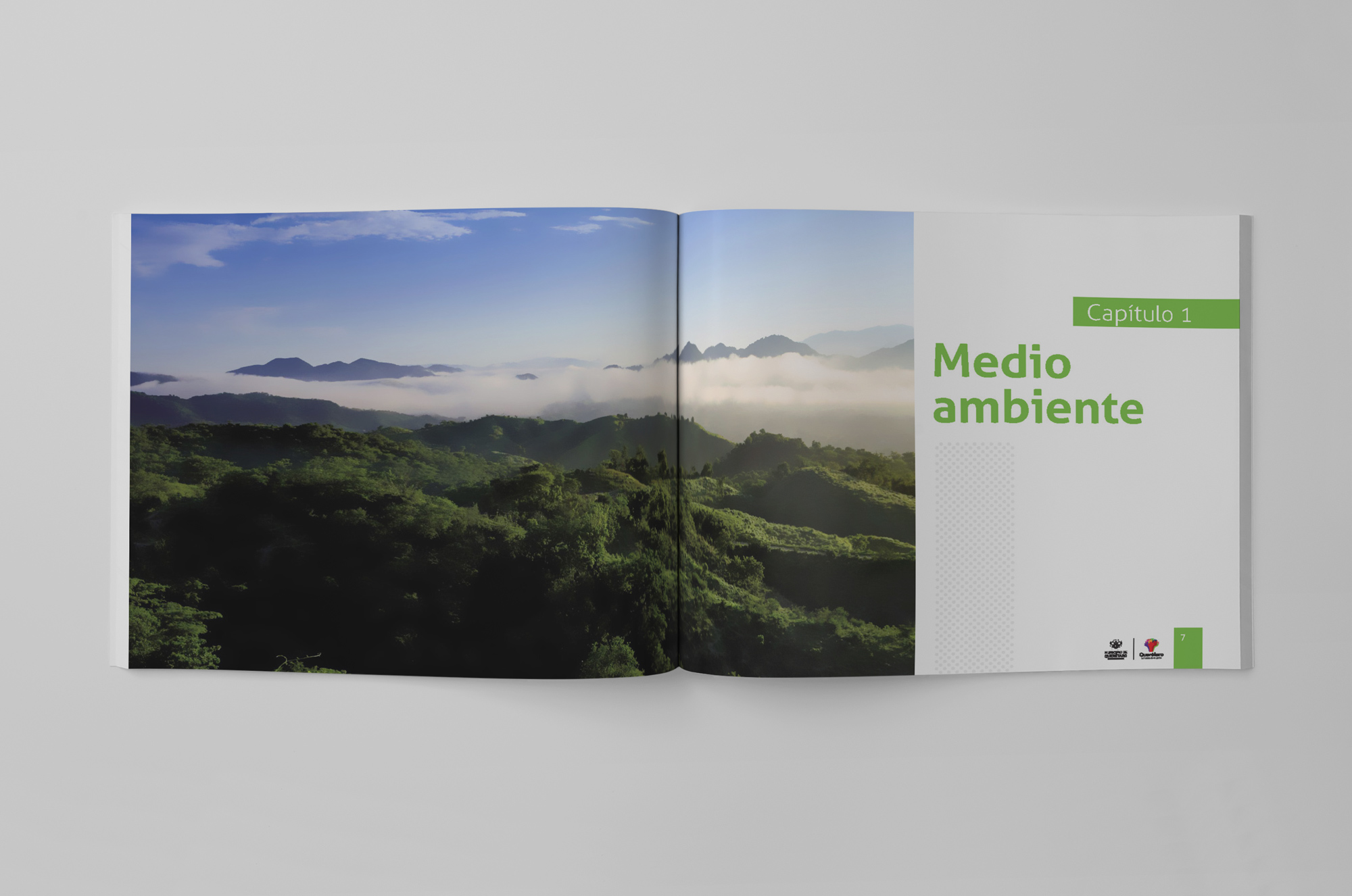 anuario económico municipal Querétaro