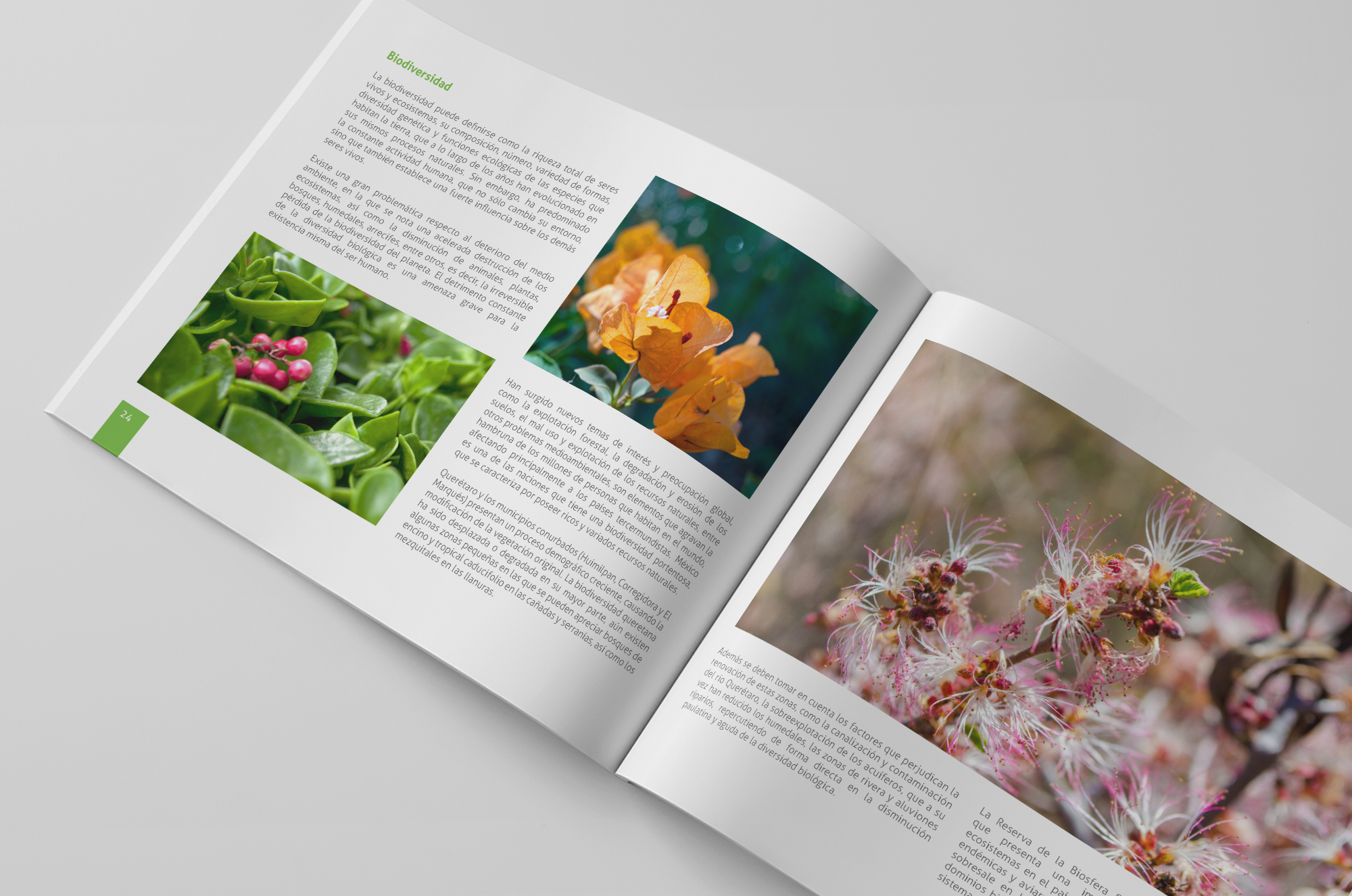 anuario económico municipal Querétaro biodiversidad