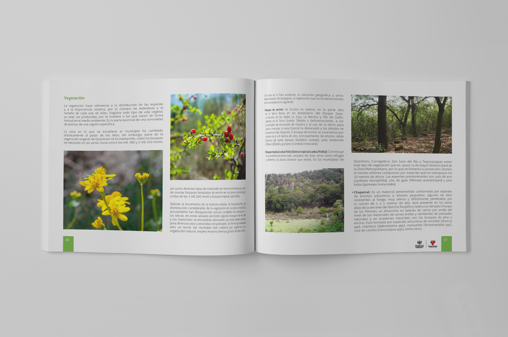 anuario económico municipal Querétaro vegetación