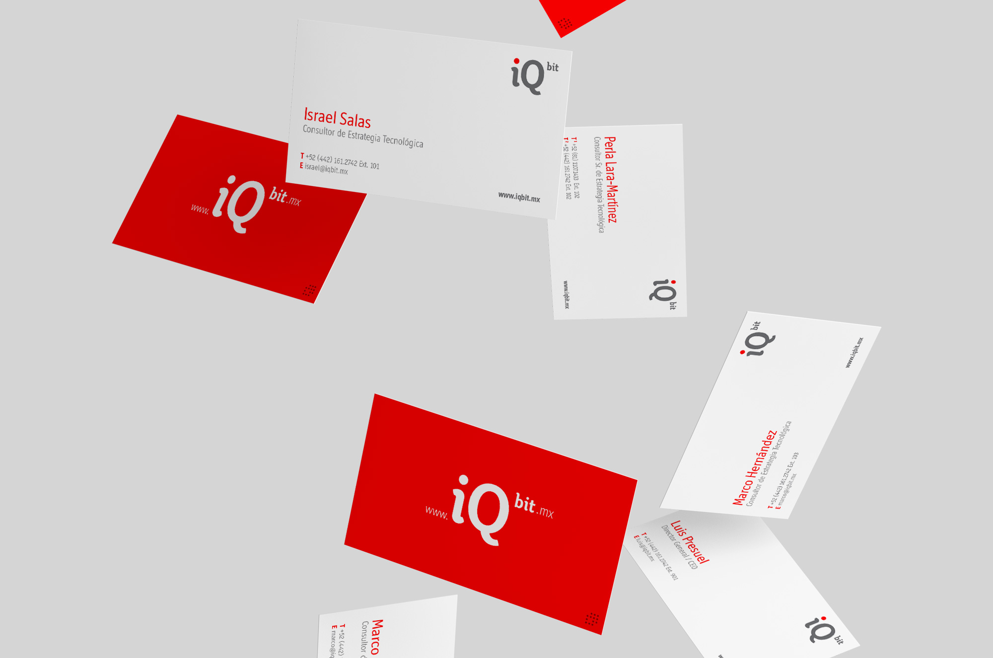 iqbit business cards